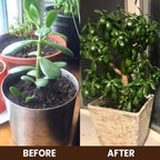 (Pack of 2) Soil Activated Treasure – Organic Soil Activator to Loosen Hard Soil, Boost Root Growth & Make Plants Healthy